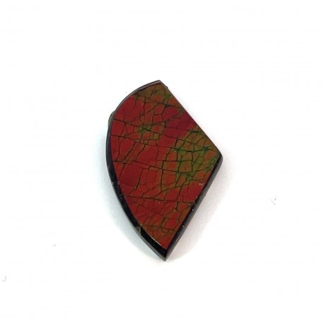 ammolite