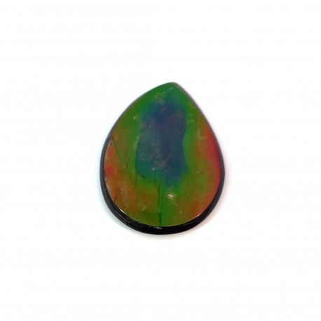 ammolite