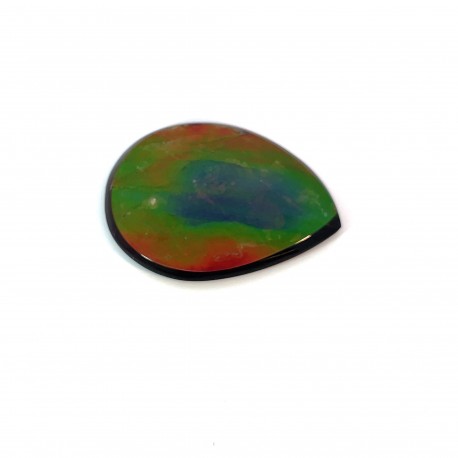 ammolite