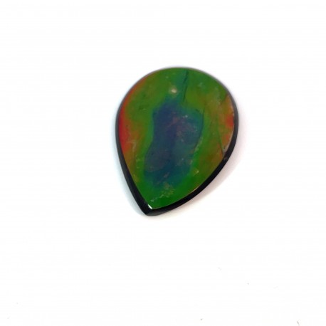 ammolite