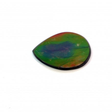 ammolite