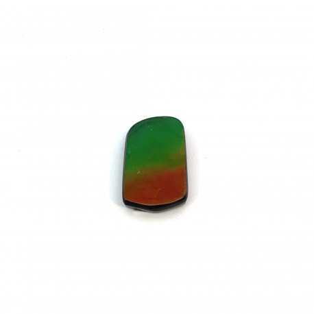 ammolite