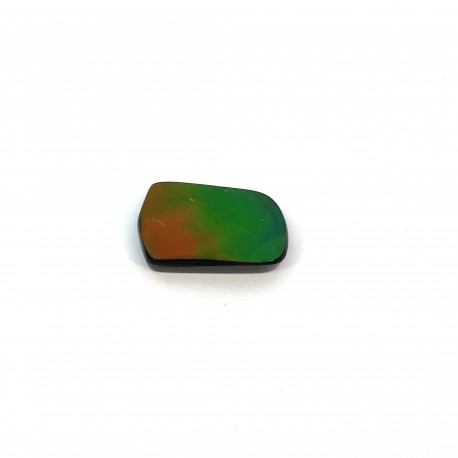 ammolite