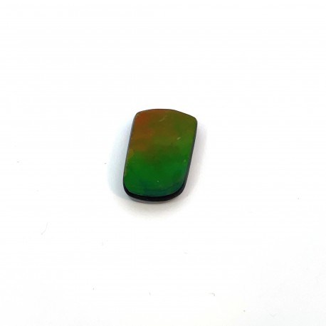 ammolite