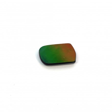 ammolite