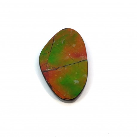 ammolite