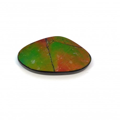 ammolite