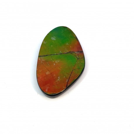 ammolite