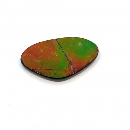 ammolite