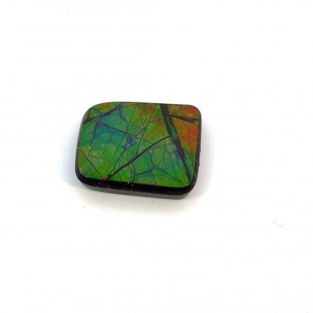 ammolite