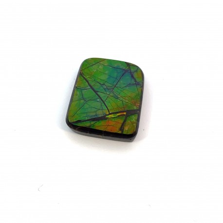 ammolite