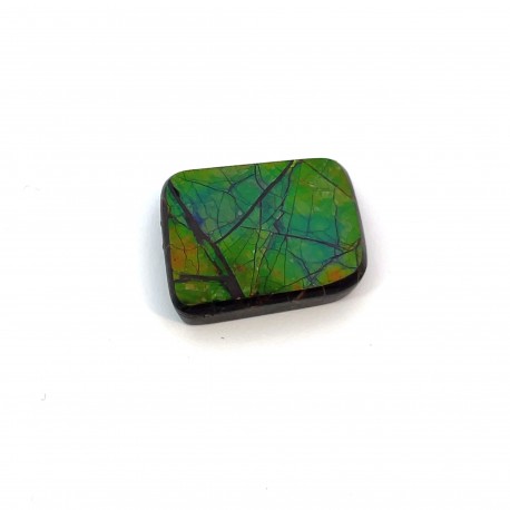 ammolite