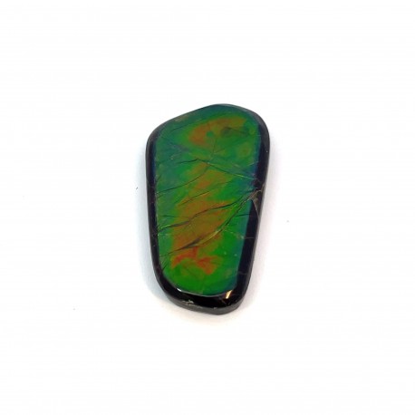 ammolite