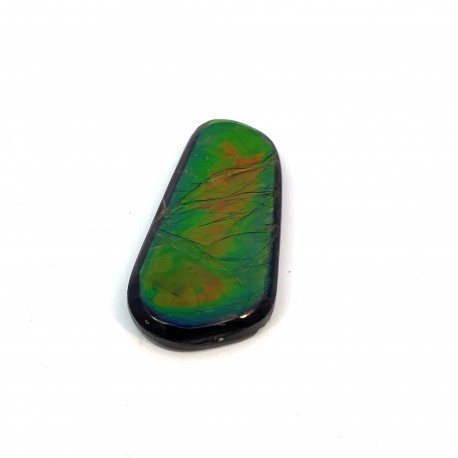 ammolite