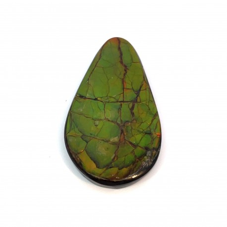 ammolite