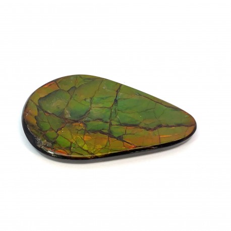 ammolite