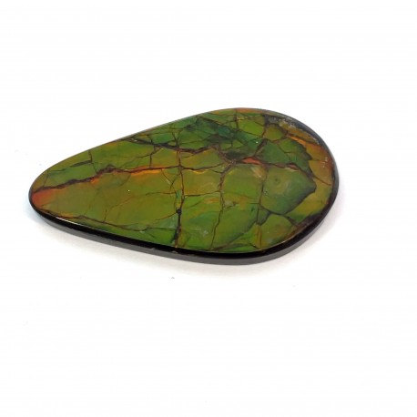 ammolite