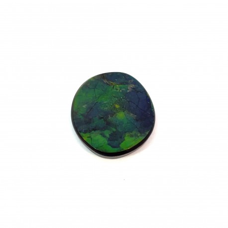 ammolite