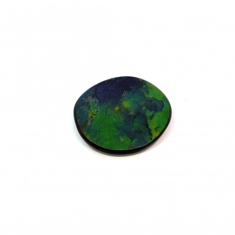 ammolite